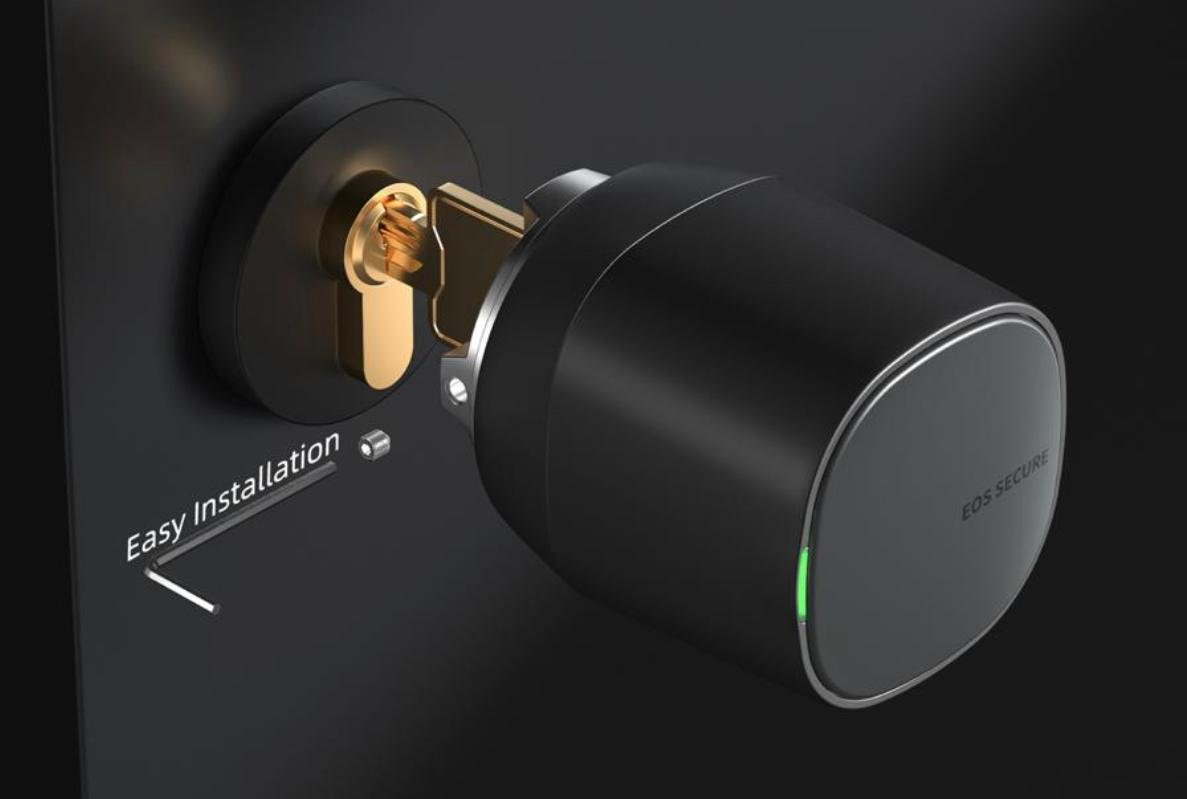 WhatsApp Image 2026-02-25 at 11.13.13